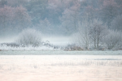 koud-landschap